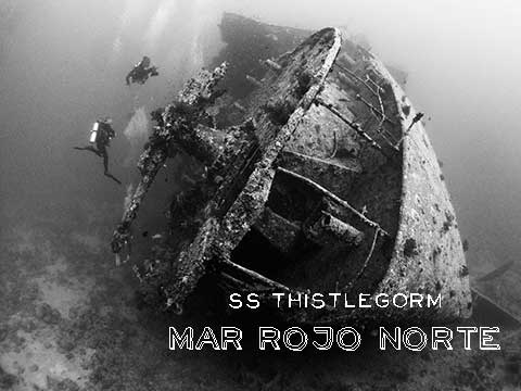 Buceo en el Mar rojo: el pecio de SS Thistlegorm