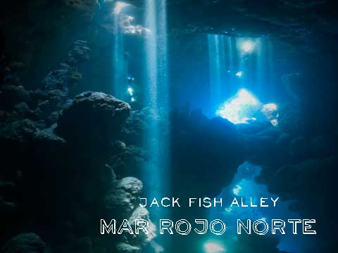 Bucear en el Mar Rojo: «Jack Fish Alley»