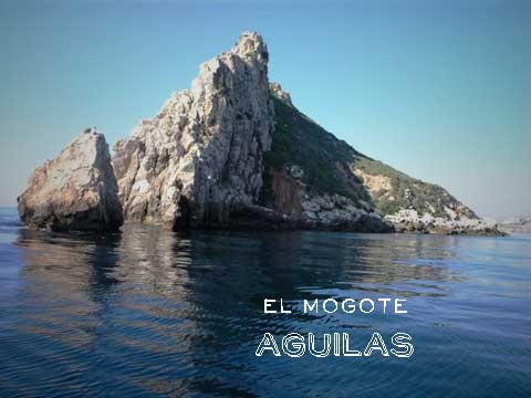 Bucear en Águilas: la isla del fraile, inmersión en «El Mogote»