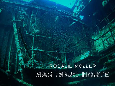 Pecios del Mar Rojo, la inmersión en el Rosalie Moller