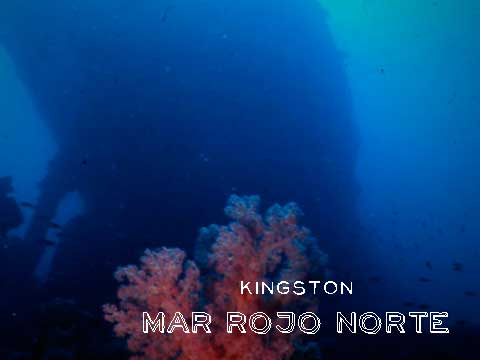 Buceo en el Mar Rojo, la inmersión en el Kingston
