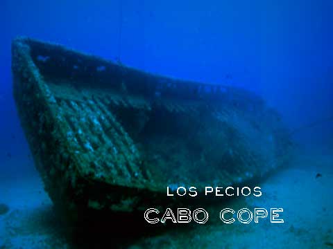 Bucear en Cabo Cope: La inmersión en «los Pecios»
